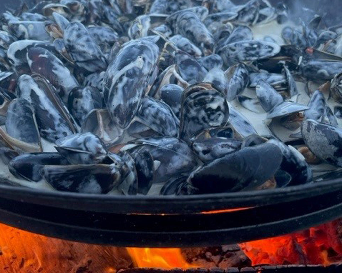 blÄmusslor